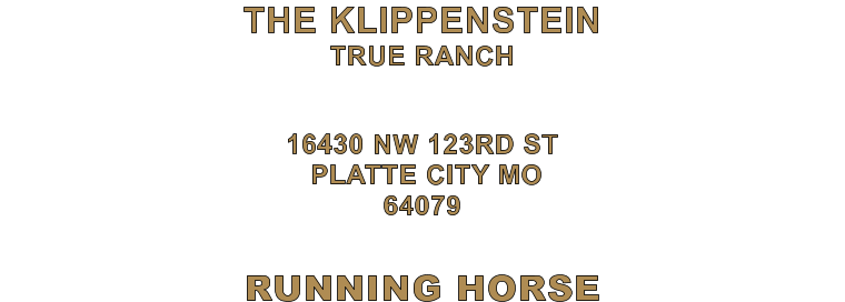 RUNNING HORSE 16430 NW 123RD ST  PLATTE CITY MO 64079 THE KLIPPENSTEIN TRUE RANCH